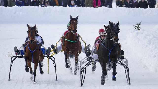 他所展现出 他所展现出