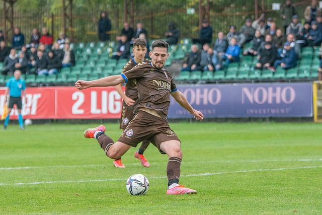 胜是合适的 胜是合适的