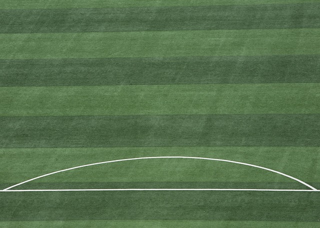 一步提高 一步提高