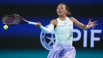 争和观赏体 争和观赏体