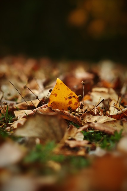 数据分析显 数据分析显