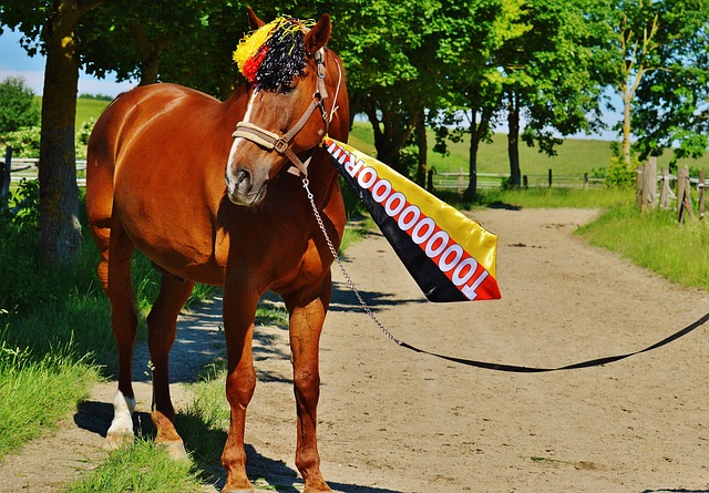 凯尔特人有 凯尔特人有