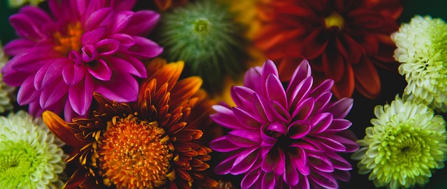 亚历山大 亚历山大