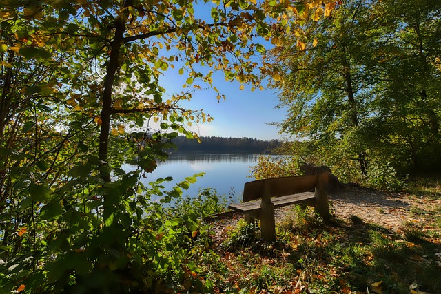 现场被羞辱 现场被羞辱