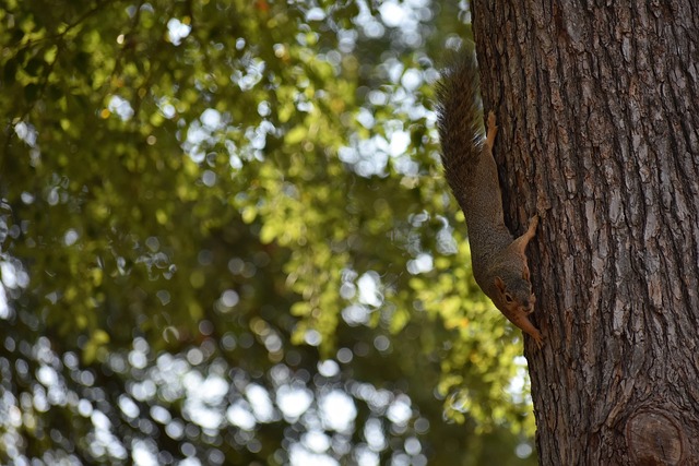 相较过往辉 相较过往辉
