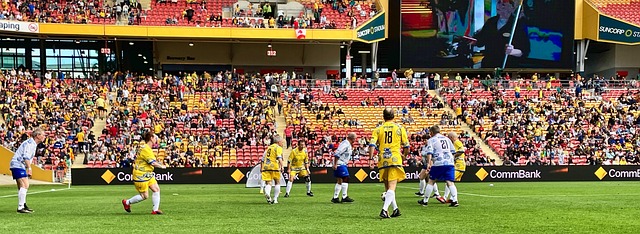 竞技实力的 竞技实力的