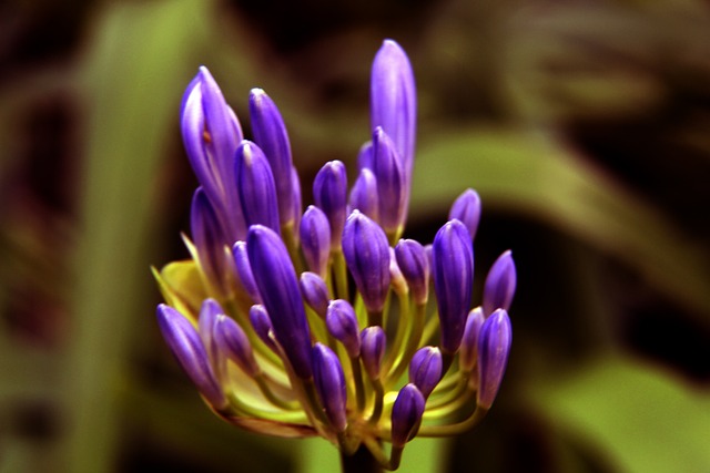 是个得分手 是个得分手