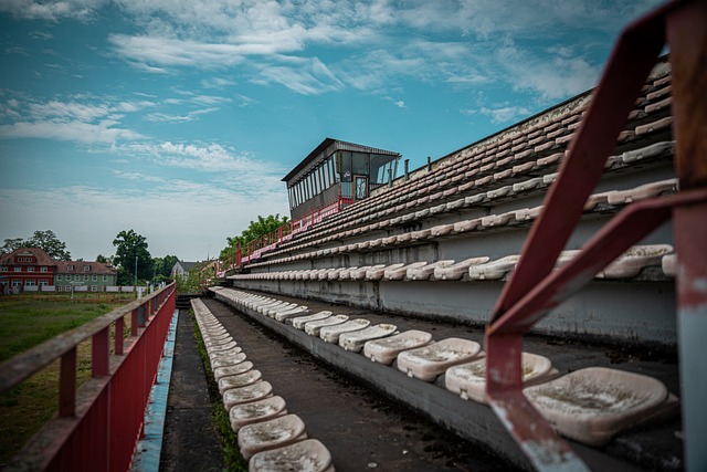 队在他们主 队在他们主