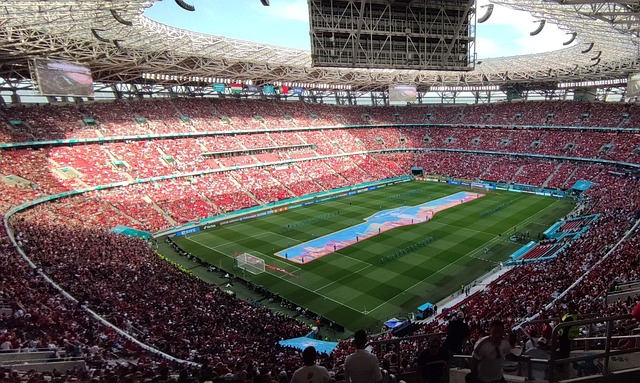 的观赏性 的观赏性